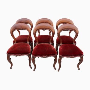 Mahogany Balloon Back Red Dining Chair, 1900s, Set of 6