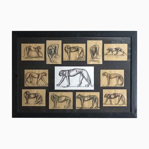 Johan Etiennette, Panther, Pastel Sketches on Paper, Enmarcado