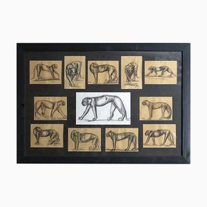 Johan Etiennette, Panther, Pastel Sketches on Paper, Framed