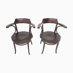 Antique Dining Chairs from Thonet, 1920s
