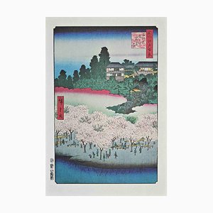 After Utagawa Hiroshige, Cherry Blossoms, Lithograph, Mid-Century