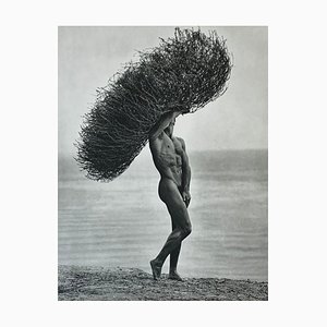 Herb Ritts, Male Nude with Tumbleweed, Paradise Cove, 1988, Silver Gelatin Print