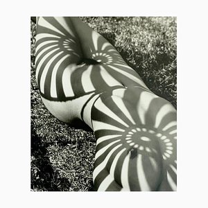 Herb Ritts, Neith with Shadows, Pound Ridge, 2012, Silver Gelatin Print