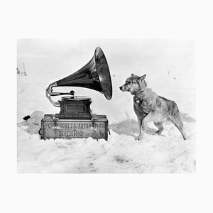 Herbert Ponting / Scott Polar Research Institute, Ponting, Chris & Gramaphone, 1911, Silbergelatine Druck