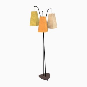 Mid-Century Floor Lamp with Coloured Shades