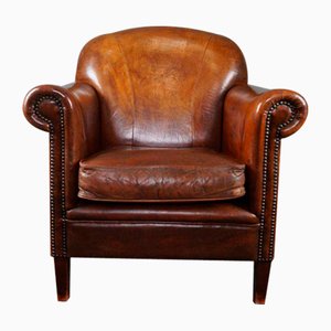 Club Chair in Sheepskin Leather
