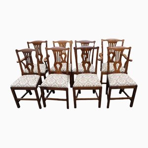 Oak Dining Chairs with Pop Out Seats, 1900s, Set of 8