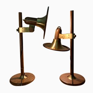 Adjustable Architectural Desk Lamps by Temde, Switzerland, Set of 2