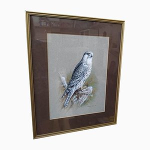 Audrey North, Eagle Perched on a Rock, 1978, Watercolor, Framed