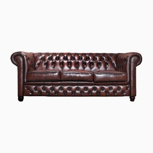 Chesterfield Three Seat Brighton Sofa from the Chesterfield Brand