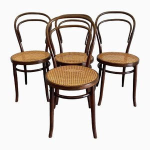 Vintage Neapolitan Ebonized Chairs by Michael Thonet for Sautto & Liberale, Set of 4