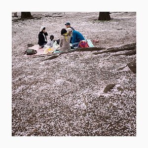 Eric Benard, Petals, Shinjuku, Tokyo, 2017, Photographic Fine Art Print