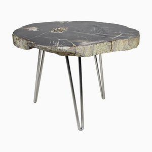 Mesa de centro de madera petrificada con patas de acero inoxidable