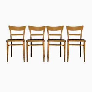 Mid-Century Bauhaus Chairs, 1950s, Set of 4