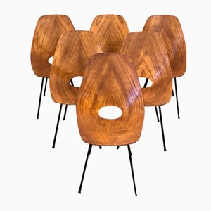 Plywood Dining Chairs by Vittorio Nobili for Fratelli Tagliabue, Italy, 1950s, Set of 6
