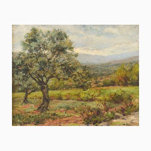 Paesaggio con alberi, XX secolo, Olio su tavola, Incorniciato