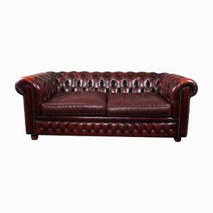 Chesterfield Style Sofa in Patinated Cow Leather