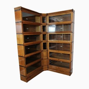 Bookcase from Globe Wernicke, Set of 24