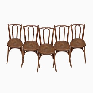 Curved Wooden Bistro Chairs, 1930, Set of 10
