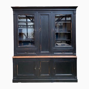 Large Patinated Cherry Wood Cupboard