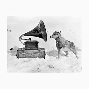 Herbert Ponting, Chris & Gramophone, 1911 / 2022, Photograph