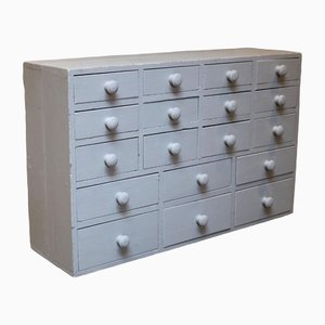 Early 20th Century Painted Collector's Drawers