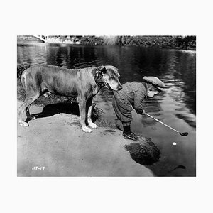 Fotografía de la Agencia General de Fotografía, perro útil, 1923