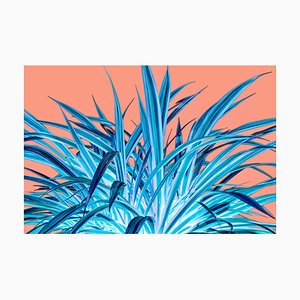 Sumit Mehndiratta, Beachside Botanics, 2021, Impresión Giclee en lienzo