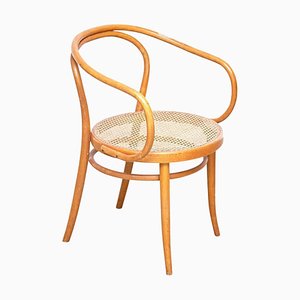 Bend Wood Armchair by Ligna