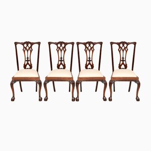 Antique Dining Chairs in the Style of Chippendale, Set of 4