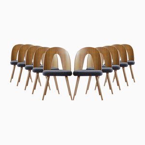 Mid-Century Esszimmerstühle von A. Suman, 10 . Set