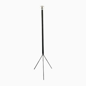 Luminator Floor Lamp with Indirect Light from Flos