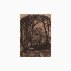 Mosè Bianchi, Bois, 19ème Siècle, Gravure