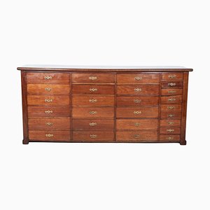 Large Mahogany Museum Chest of Drawers, 19th Century