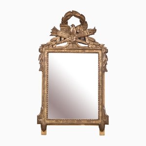 Antique Marriage Trumeau Mirror with Doves in the style of Louis XVI