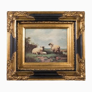 English Sheep Scene, 1980s, Oil on Canvas, Framed
