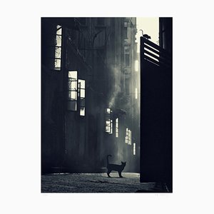 Mr Strange, Hong Kong by Night, 2020, Digital Print