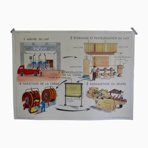School Poster Depicting Dairy from Éditions Rossignol