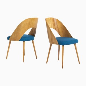 Chaises par Antonin Suman pour Onv Pisek, 1960s, Set de 2