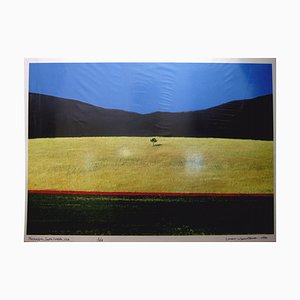 Franco Fontana, Paesaggio South Dakota, 1990, Farbfotografie auf Aluminium