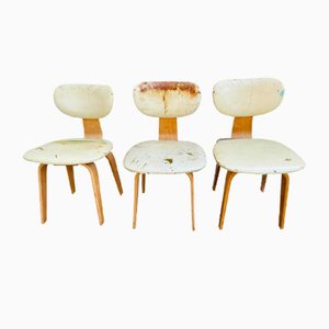 Mid-Century SB02 Dining Chairs by Cees Braakman for Pastoe, 1950s, Set of 3