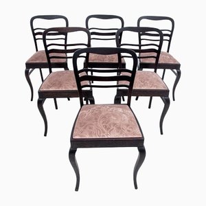 Nordeuropäische Stühle, 1900er, 6er Set