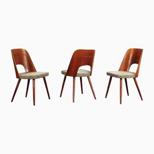 Dining Chairs by Oswald Haerdtl for TON, Set of 3