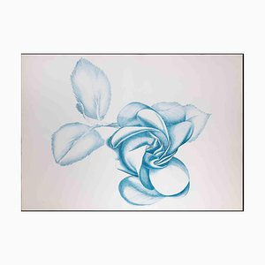 Giacomo Porzano, Blue Rose, Original Etching, 1970s