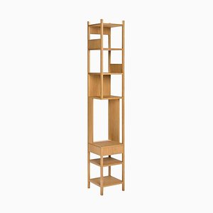 Lungan Wood Shelving Unit by Achille Castiglioni for Hille