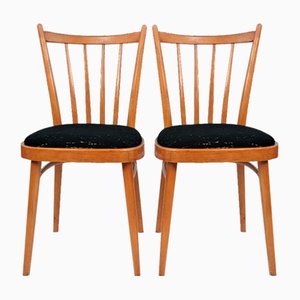 Mid-Century Dining Chairs from Up Závody, Czechoslovakia, 1960s, Set of 2
