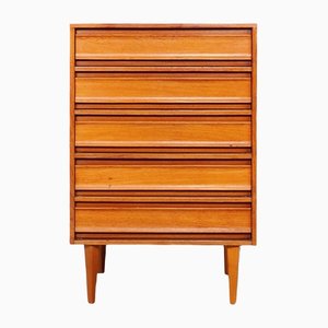 Vintage High Chest of Drawers in Teak, 1960s