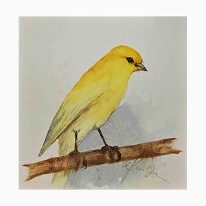 Inconnu, Canari Jaune, Aquarelle, Fin 20ème Siècle