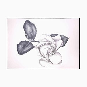 Giacomo Porzano, Black Rose, Original Etching, 1972