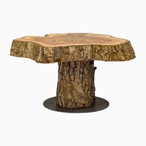 Tree Trunk Coffee Table in Walnut on Metal Base